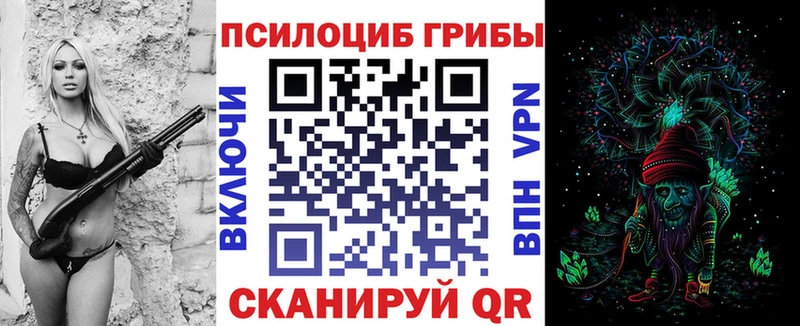 Псилоцибиновые грибы Cubensis  где купить наркоту  shop наркотические препараты  Людиново 